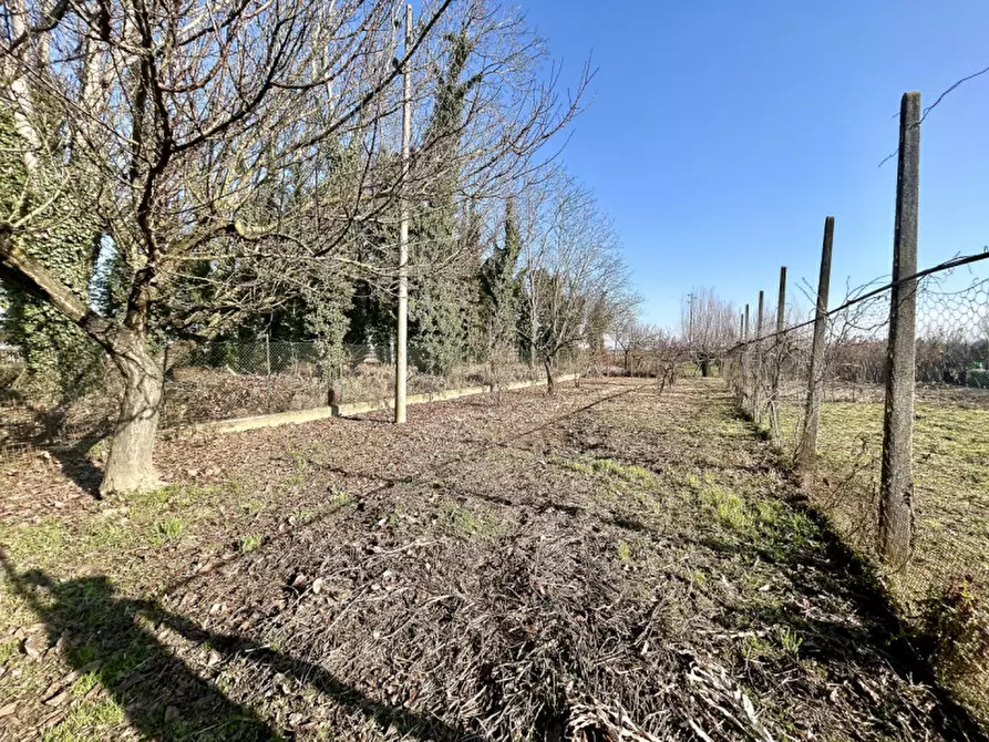 Immagine 36 di Casa indipendente in vendita  in Via Livello 85 a Legnago