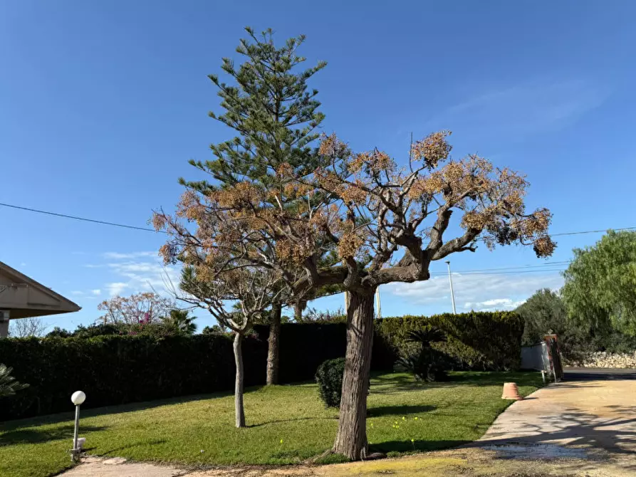 Immagine 28 di Casa indipendente in vendita  in Contrada Fargione a Modica