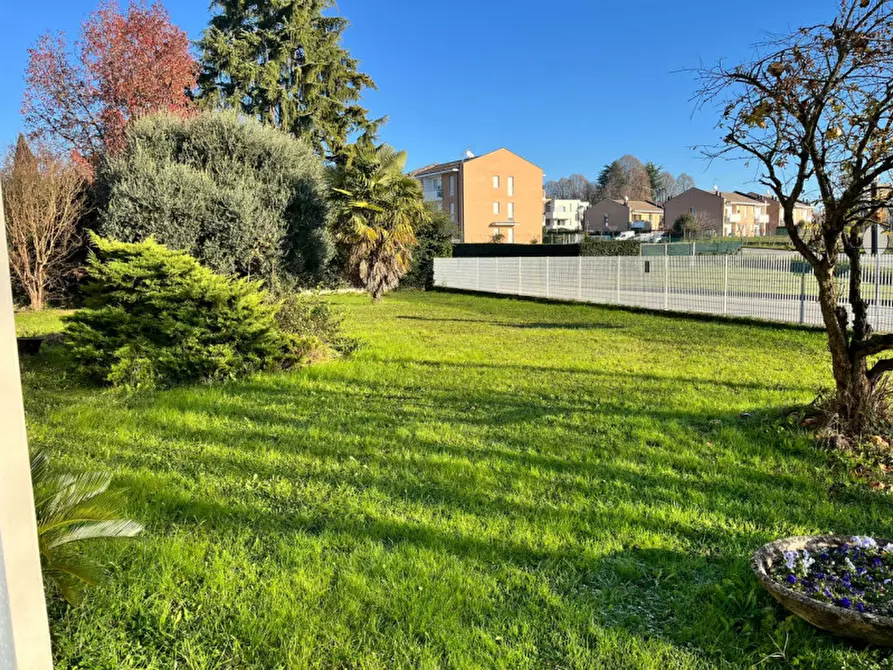 Immagine 3 di Laboratorio in vendita  in Via Saviabona a Monticello Conte Otto