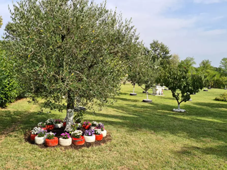 Immagine 2 di Terreno in vendita  in Via Brunori a Monteviale