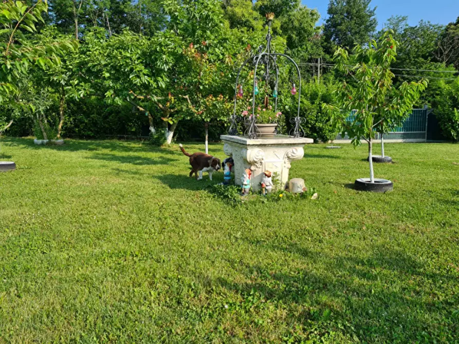 Immagine 3 di Terreno in vendita  in Via Brunori a Monteviale