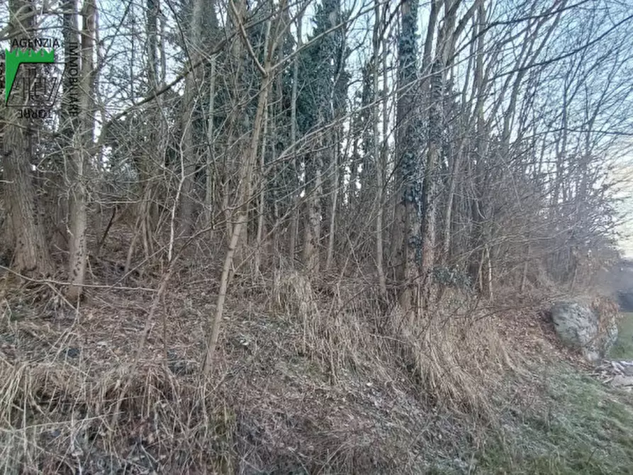 Immagine 2 di Terreno in vendita  in Ischia di Pergine a Pergine Valsugana