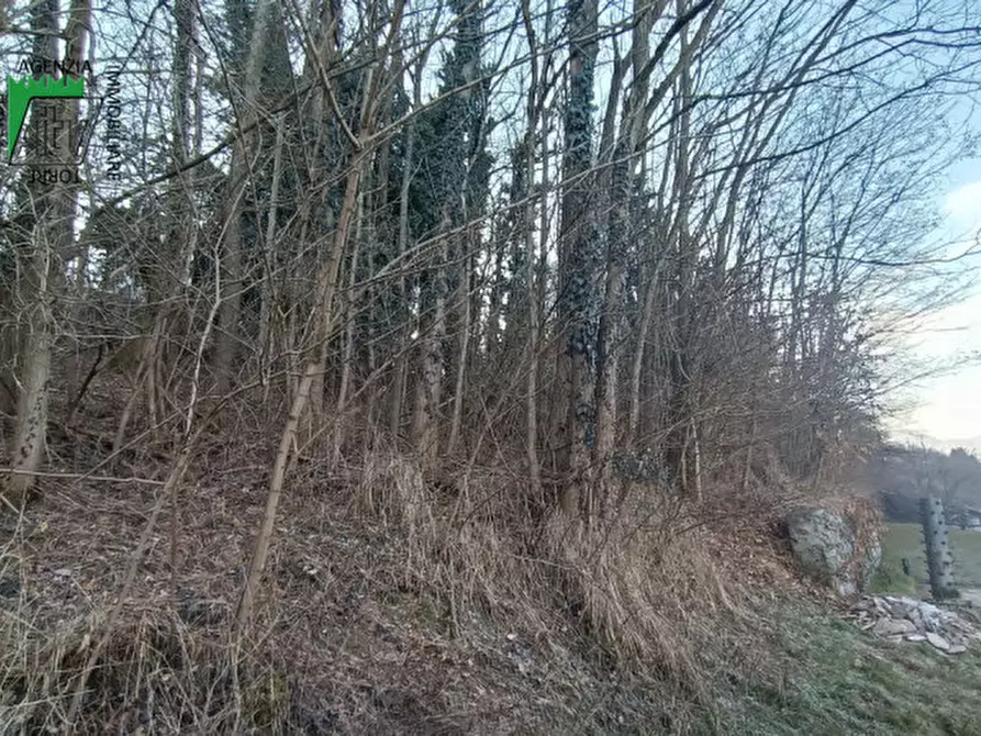 Immagine 3 di Terreno in vendita  in Ischia di Pergine a Pergine Valsugana