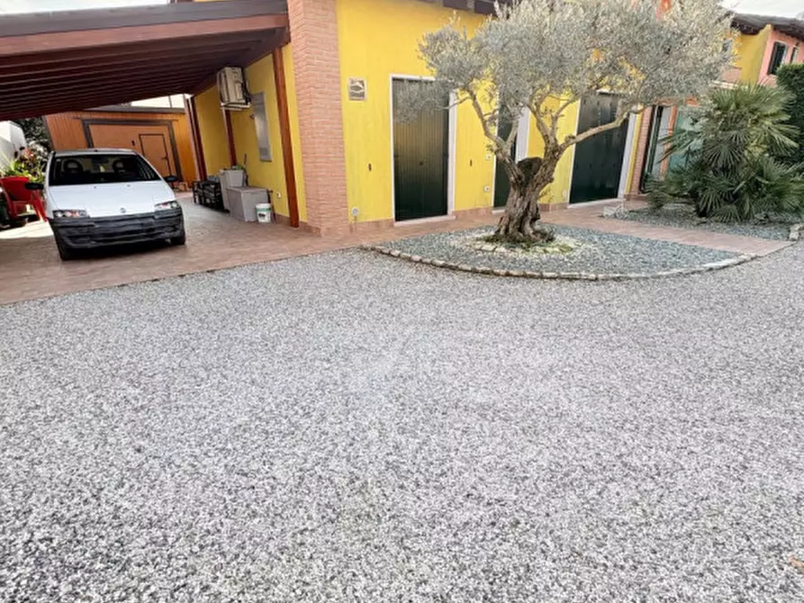 Immagine 1 di Villetta a schiera in vendita  a Castagnaro
