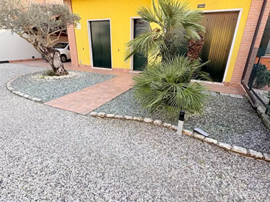 Immagine 3 di Villetta a schiera in vendita  a Castagnaro