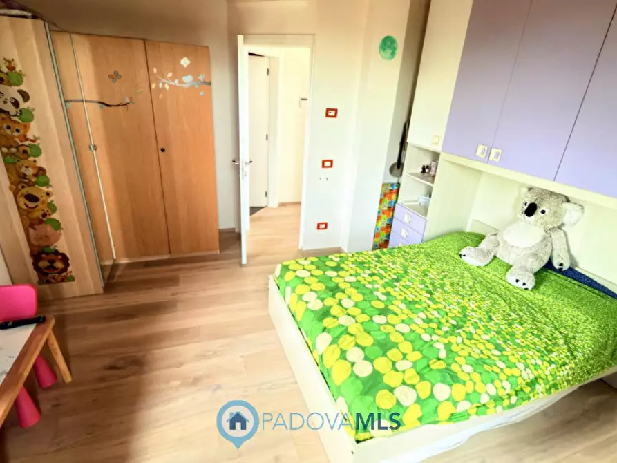 Immagine 47 di Casa bifamiliare in vendita  in Via Olmo per conselve a Bagnoli Di Sopra