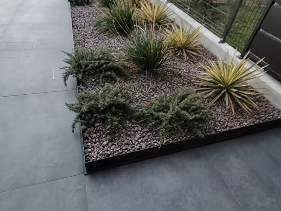 Immagine 10 di Attico in vendita  a Cassola