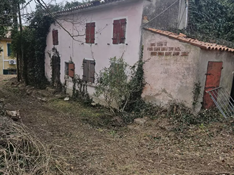 Immagine 2 di Rustico / casale in vendita  in IV novembre a Vo