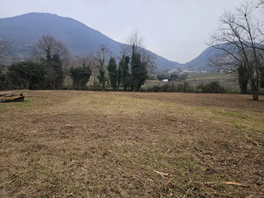 Immagine 6 di Rustico / casale in vendita  in IV novembre a Vo