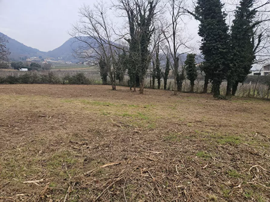 Immagine 7 di Rustico / casale in vendita  in IV novembre a Vo