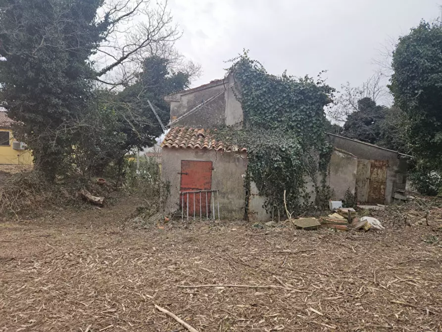 Immagine 10 di Rustico / casale in vendita  in IV novembre a Vo