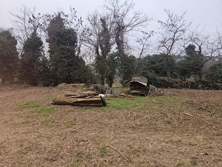 Immagine 14 di Rustico / casale in vendita  in IV novembre a Vo