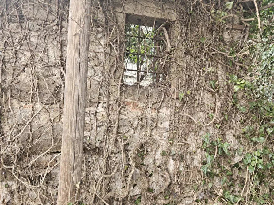 Immagine 17 di Rustico / casale in vendita  in IV novembre a Vo