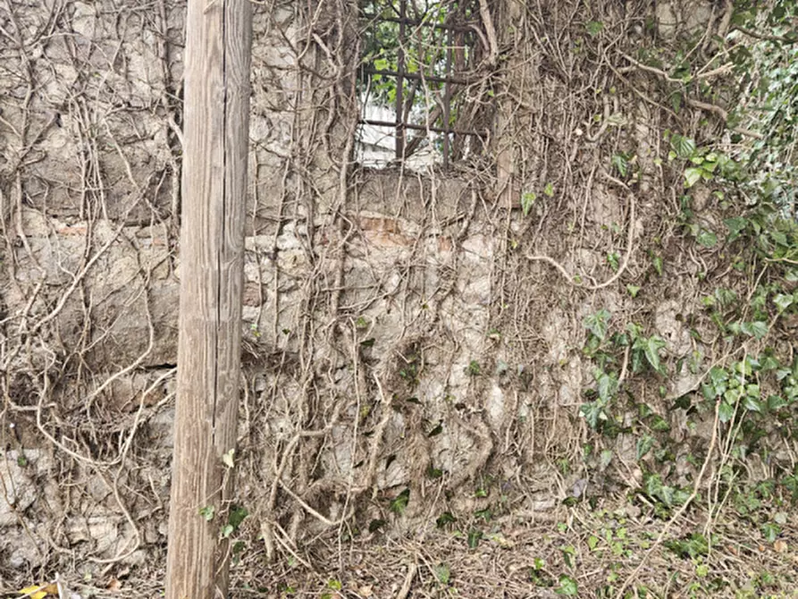 Immagine 20 di Rustico / casale in vendita  in IV novembre a Vo