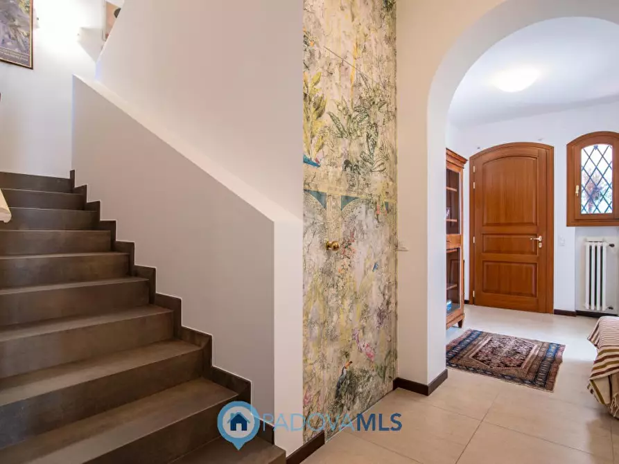 Immagine 4 di Casa bifamiliare in vendita  in via bari, 5 a Padova