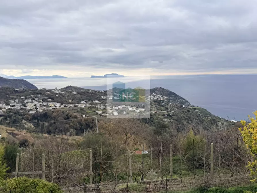 Immagine 9 di Casa indipendente in vendita  in piazza iv novembre a Serrara Fontana