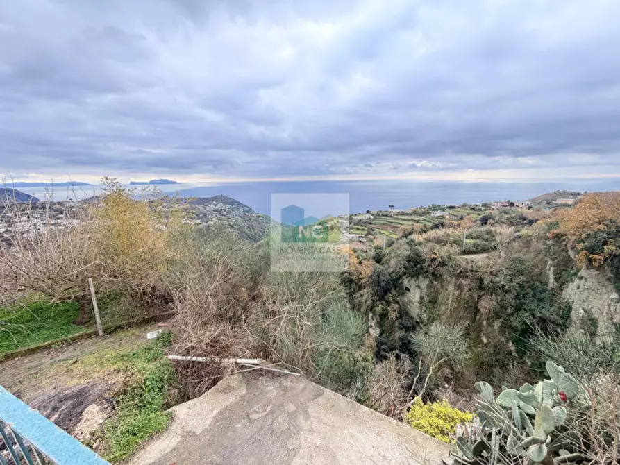 Immagine 21 di Casa indipendente in vendita  in piazza iv novembre a Serrara Fontana