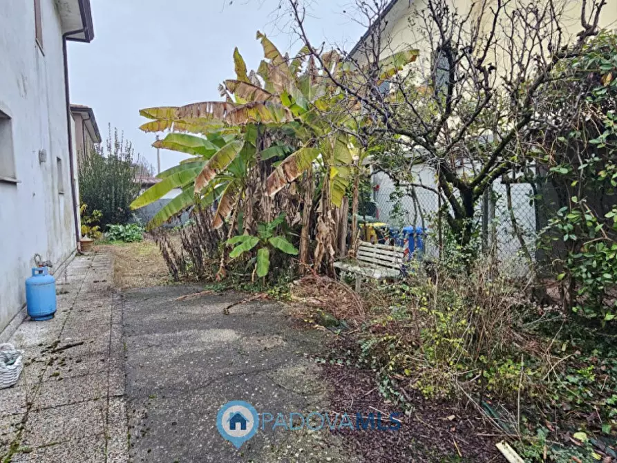 Immagine 18 di Casa indipendente in vendita  a Vigonza