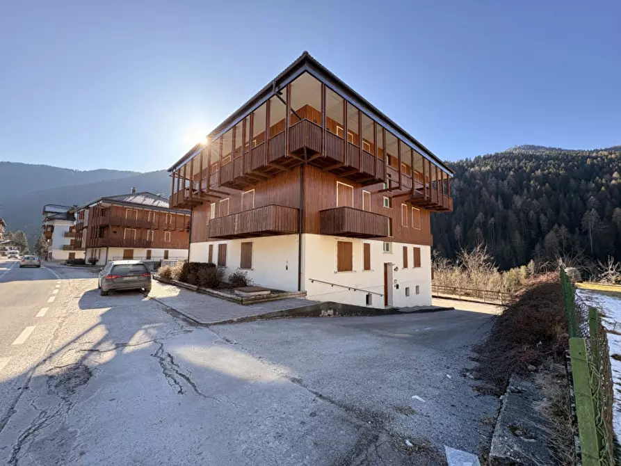 Immagine 17 di Appartamento in vendita  in Via Alpini a Auronzo Di Cadore