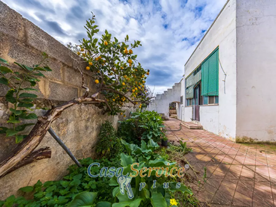 Immagine 15 di Casa indipendente in vendita  in Via Costa a Taviano