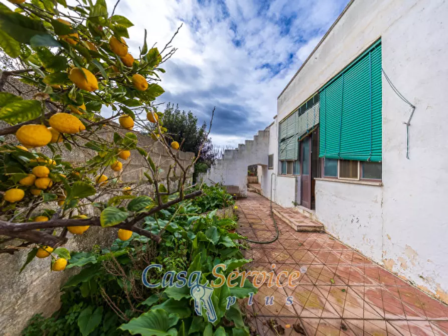 Immagine 16 di Casa indipendente in vendita  in Via Costa a Taviano