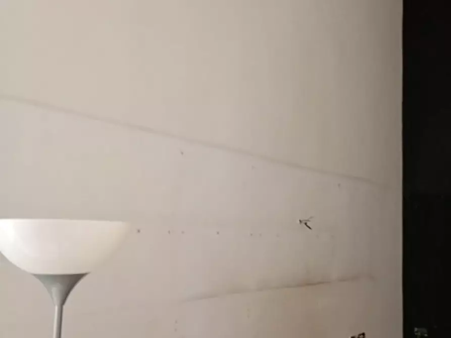 Immagine 53 di Camera in affitto  in via giovanni paladino 4 a Napoli