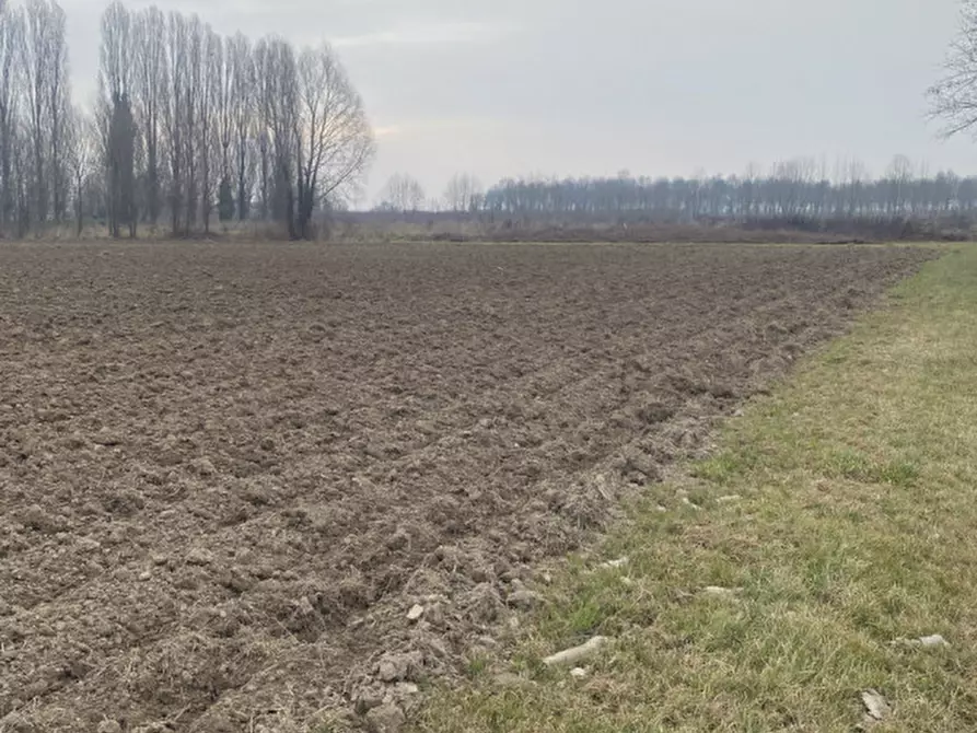 Immagine 1 di Terreno in vendita  in Via Verdi a Sant'angelo Di Piove Di Sacco