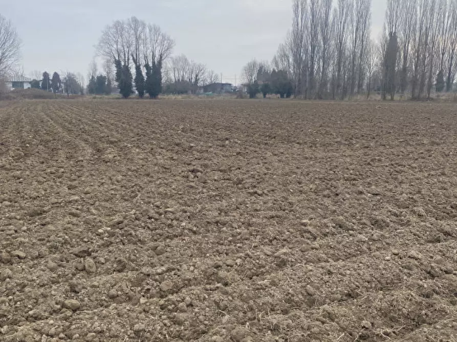 Immagine 2 di Terreno in vendita  in Via Verdi a Sant'angelo Di Piove Di Sacco