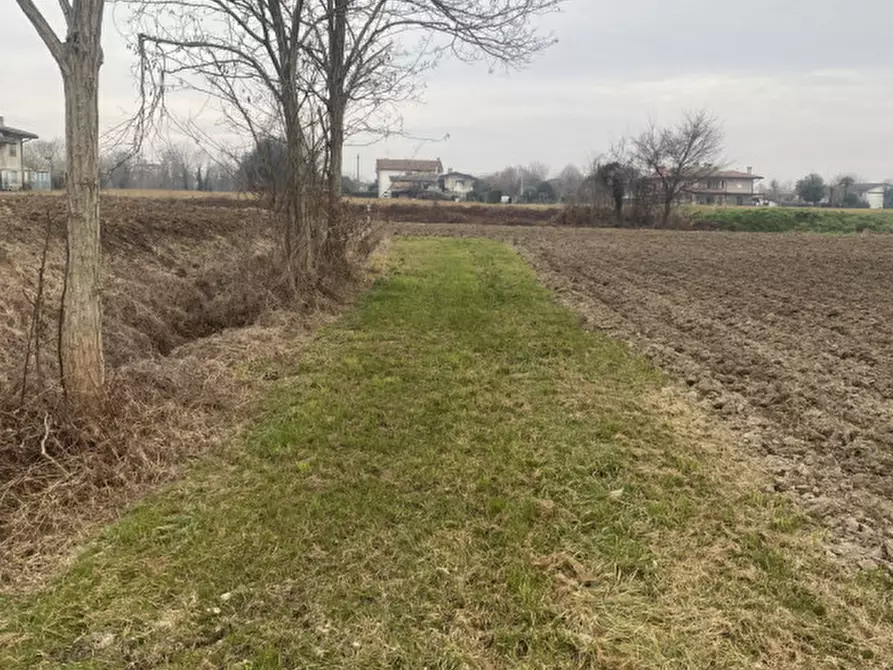 Immagine 5 di Terreno in vendita  in Via Verdi a Sant'angelo Di Piove Di Sacco