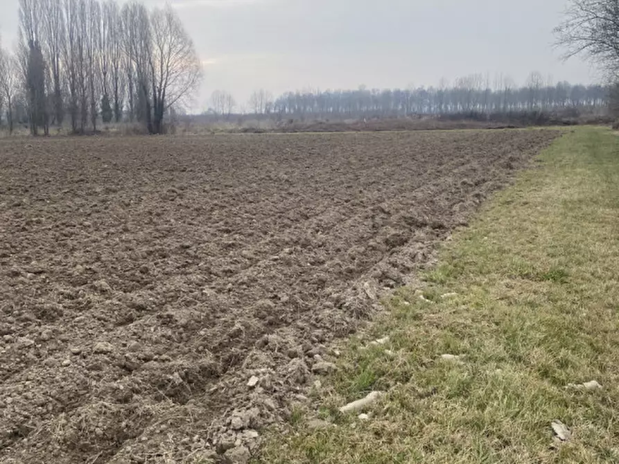 Immagine 6 di Terreno in vendita  in Via Verdi a Sant'angelo Di Piove Di Sacco
