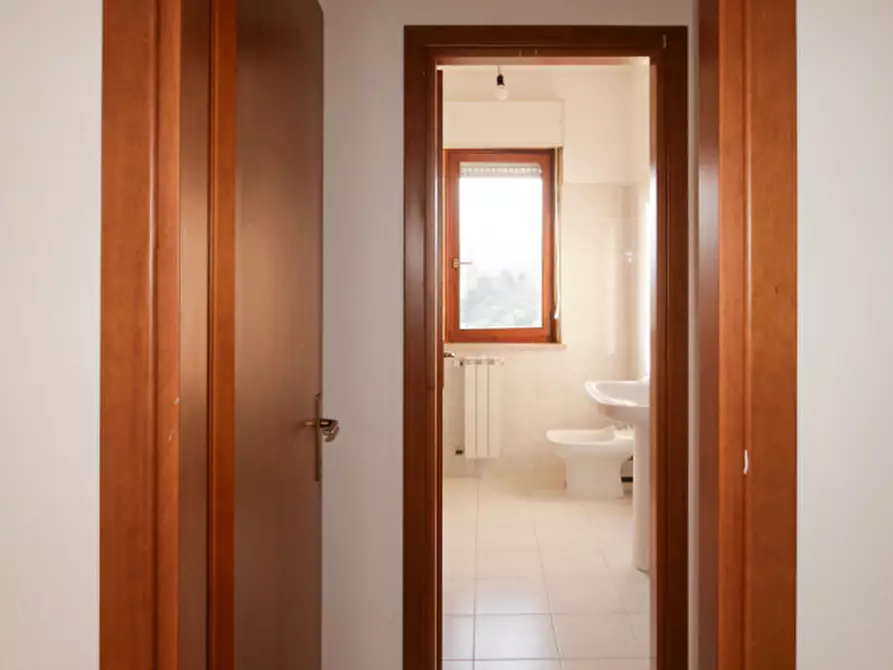 Immagine 13 di Appartamento in vendita  a Collecorvino