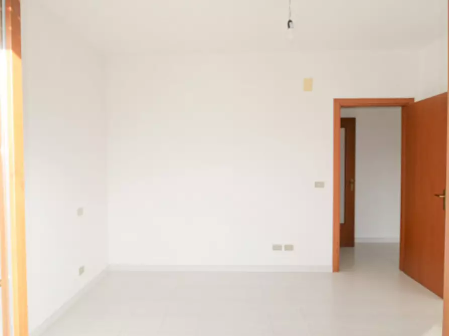 Immagine 17 di Appartamento in vendita  a Collecorvino