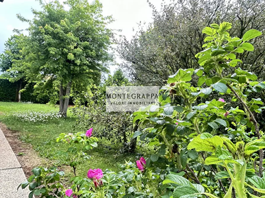 Immagine 2 di Casa trifamiliare in vendita  in Via Ex Internati a Riese Pio x