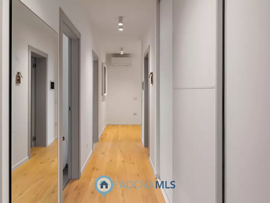 Immagine 14 di Villa in vendita  in via giotto, 33 a Borgoricco