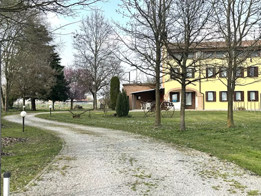 Immagine 36 di Casa bifamiliare in vendita  in ferro pezzolo 5 a Abano Terme