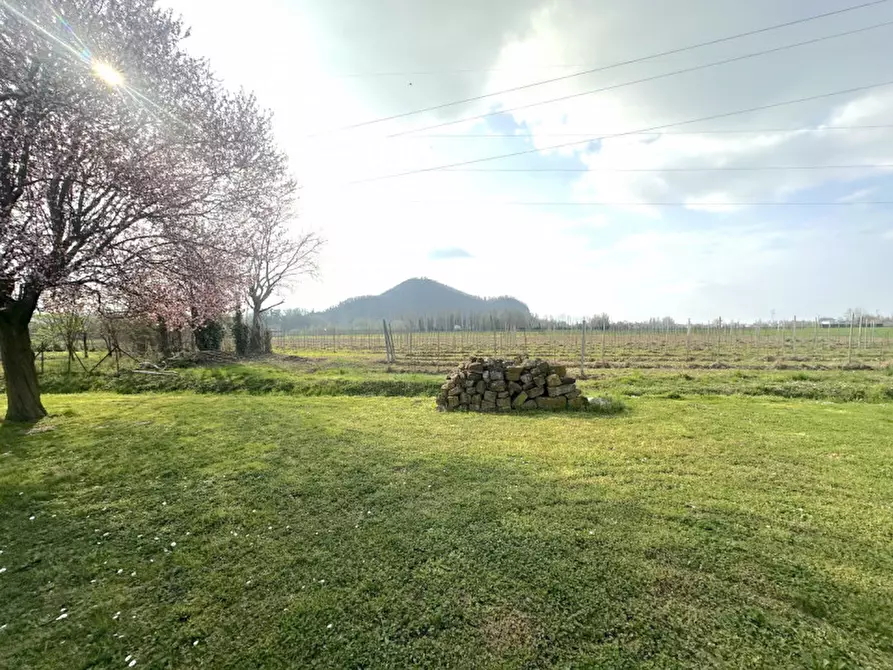 Immagine 39 di Casa bifamiliare in vendita  in ferro pezzolo 5 a Abano Terme