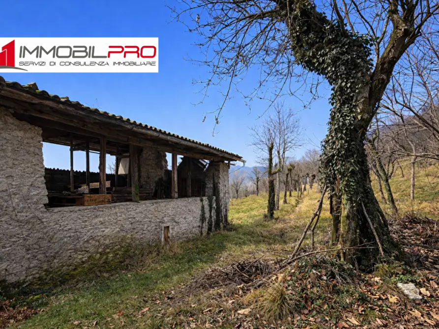Immagine 5 di Rustico / casale in vendita  in Località Lebena a Schio