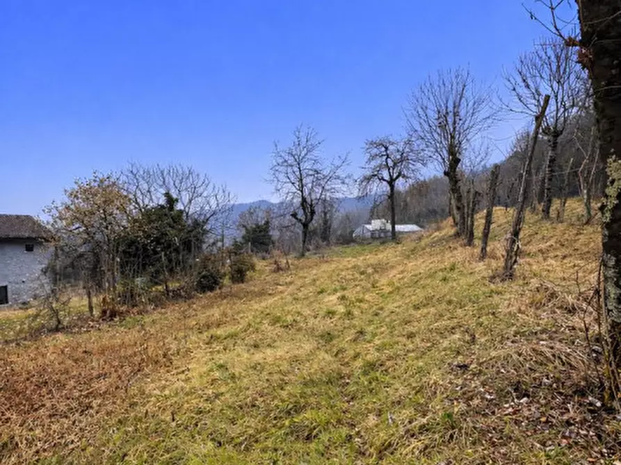 Immagine 7 di Rustico / casale in vendita  in Località Lebena a Schio