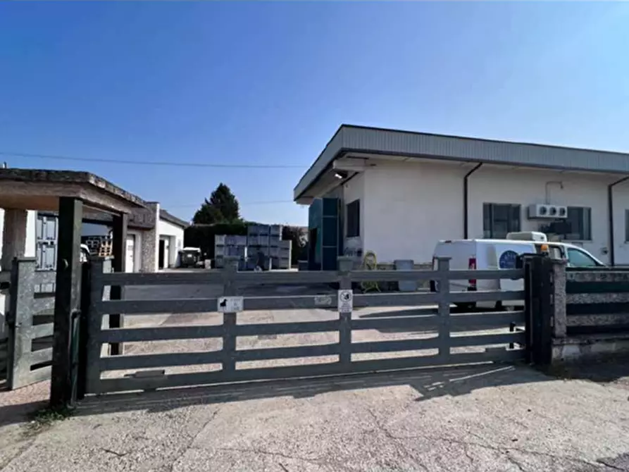 Immagine 2 di Capannone industriale in vendita  in VIA RICCADONNA 1 a Zevio
