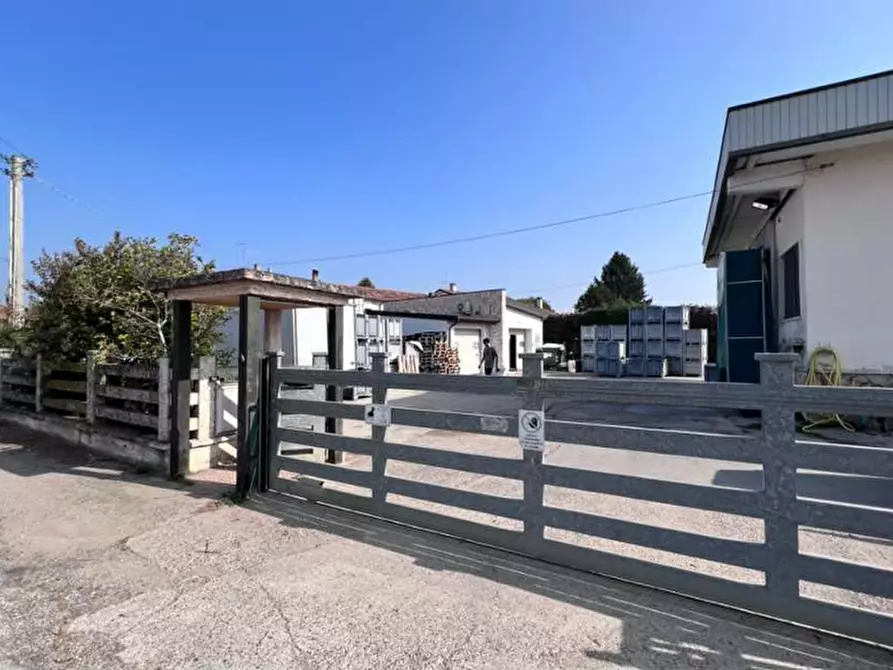 Immagine 3 di Capannone industriale in vendita  in VIA RICCADONNA 1 a Zevio