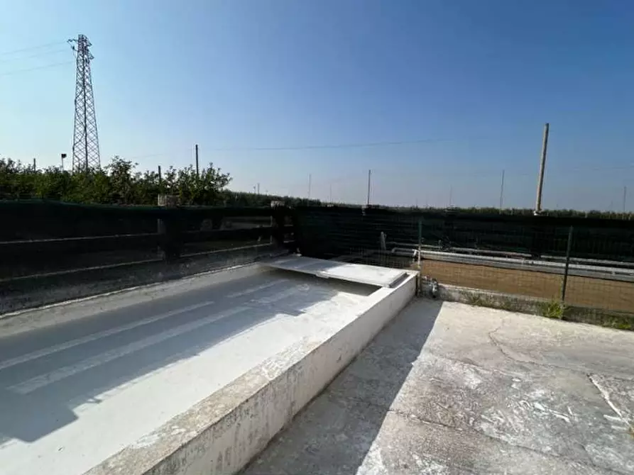 Immagine 8 di Capannone industriale in vendita  in VIA RICCADONNA 1 a Zevio