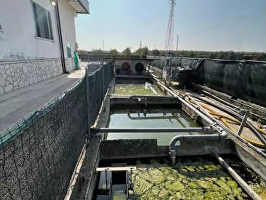 Immagine 10 di Capannone industriale in vendita  in VIA RICCADONNA 1 a Zevio