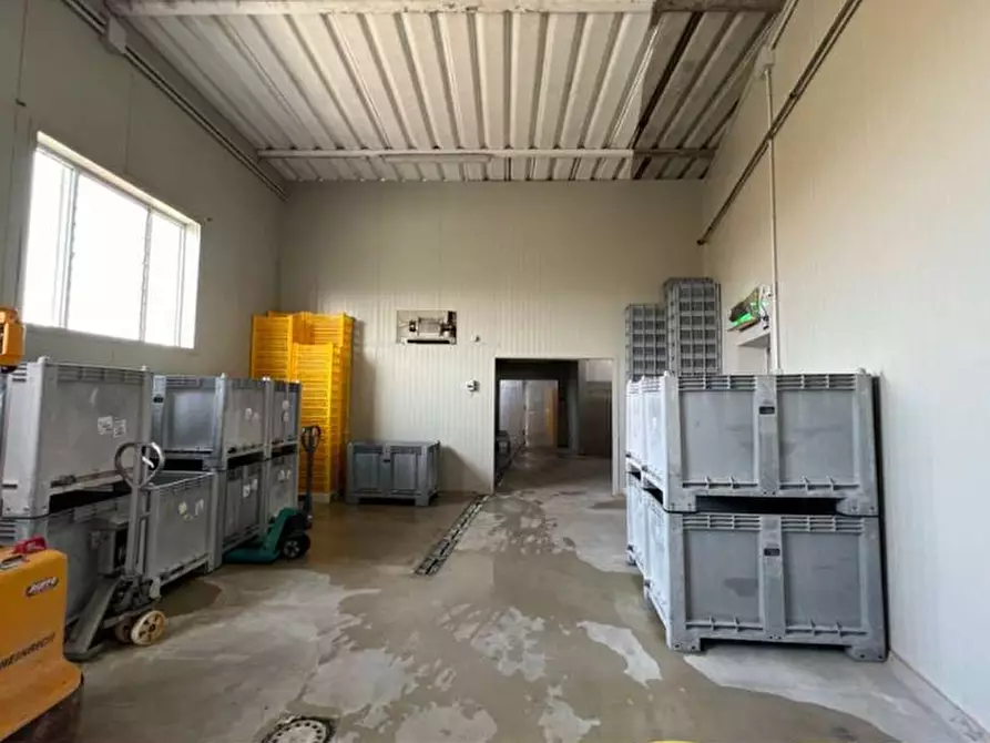 Immagine 31 di Capannone industriale in vendita  in VIA RICCADONNA 1 a Zevio