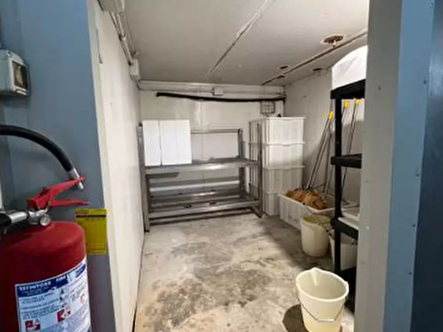 Immagine 32 di Capannone industriale in vendita  in VIA RICCADONNA 1 a Zevio