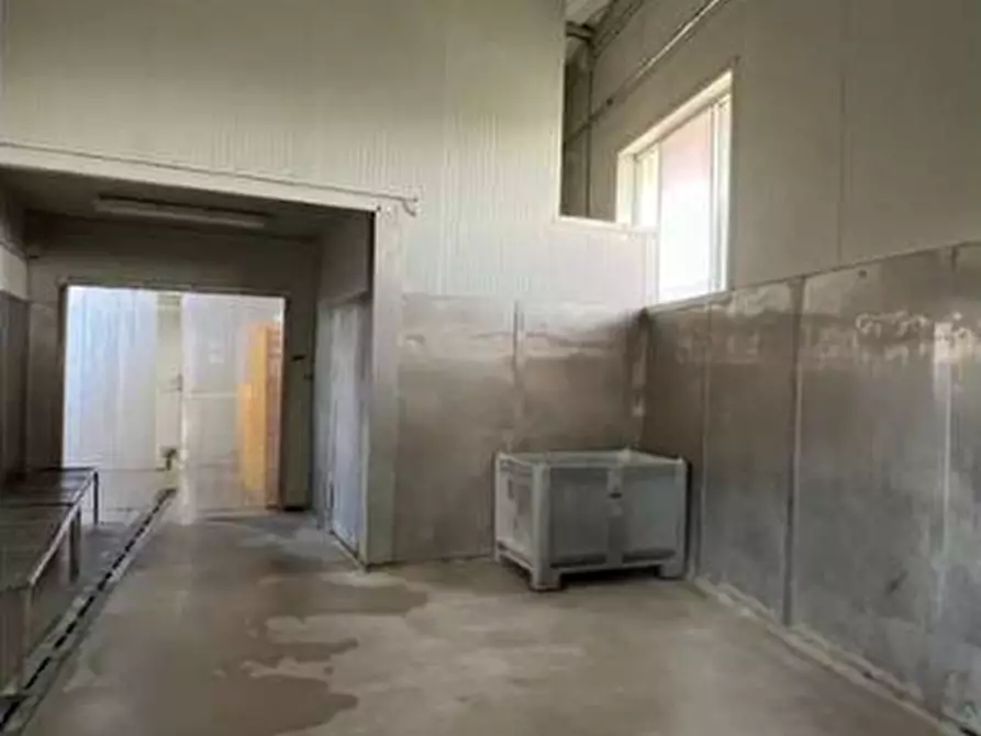 Immagine 33 di Capannone industriale in vendita  in VIA RICCADONNA 1 a Zevio