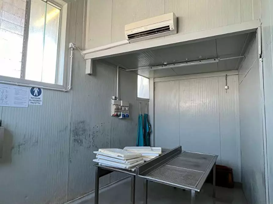 Immagine 34 di Capannone industriale in vendita  in VIA RICCADONNA 1 a Zevio