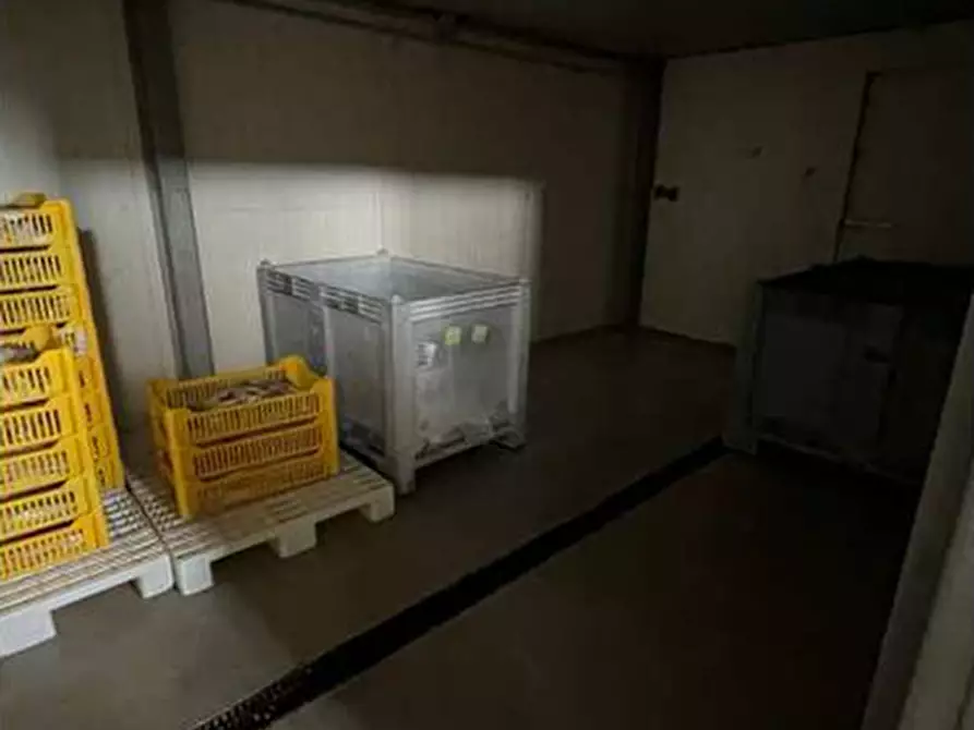 Immagine 35 di Capannone industriale in vendita  in VIA RICCADONNA 1 a Zevio