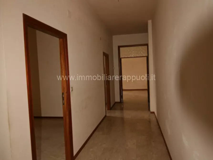 Immagine 4 di Appartamento in vendita  a Lucignano