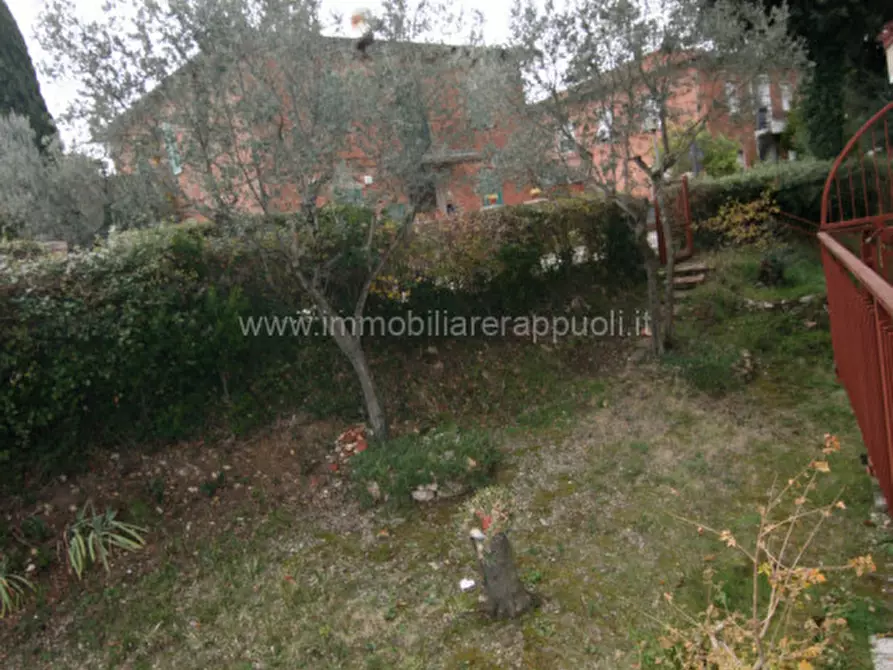 Immagine 10 di Appartamento in vendita  a Lucignano