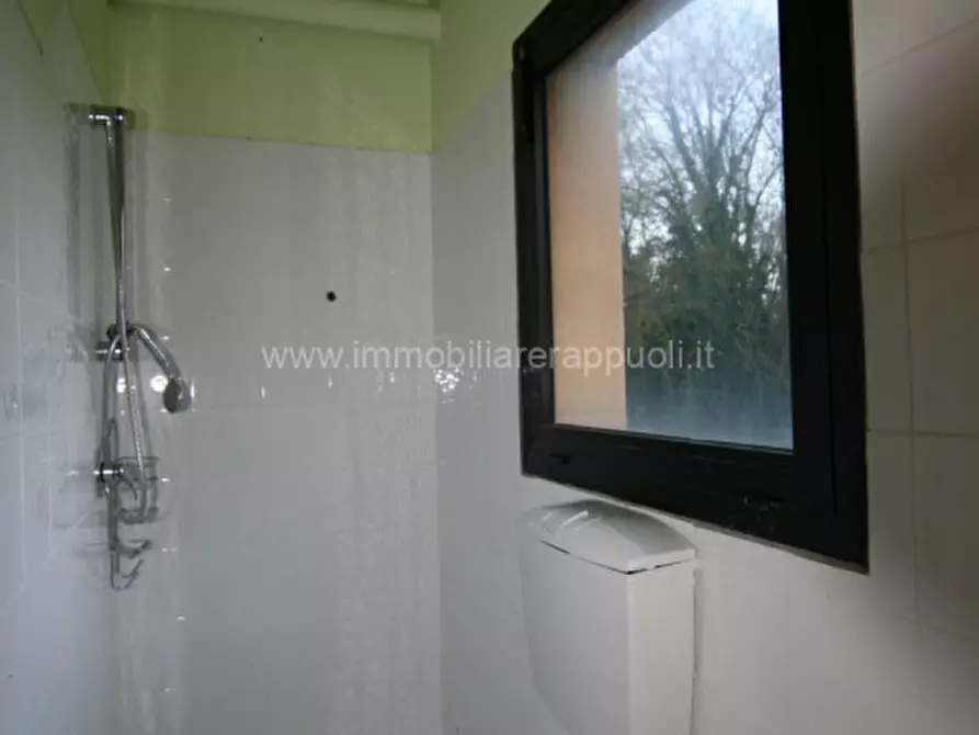 Immagine 4 di Attività commerciale in affitto  a Sinalunga